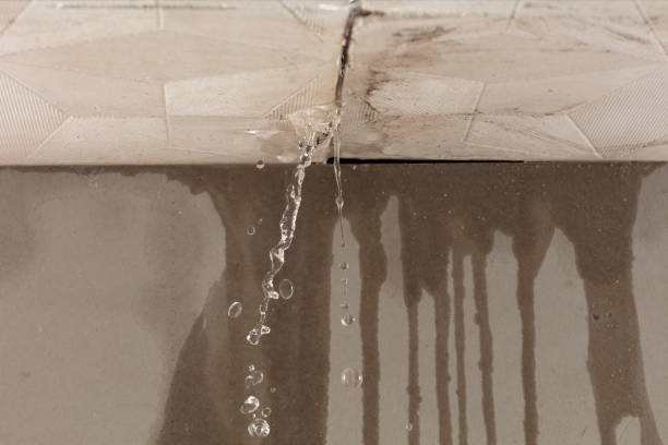 Professional Water Extraction technician working in Braham, MN